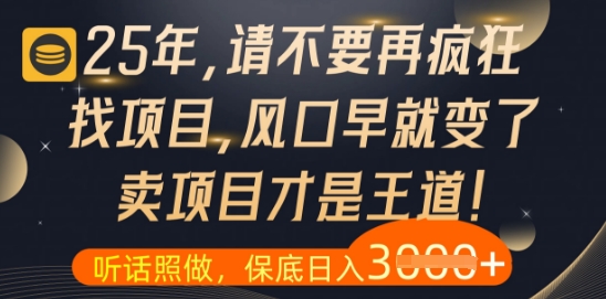 什么？25年你还在疯狂找项目做，醒醒吧，看完这些你全都懂了【揭秘】-小艾项目网
