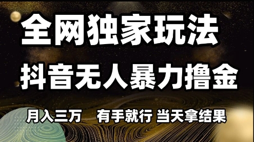 全网独家玩法抖音无人暴力撸金，月入3W，有手就行，当天拿结果【揭秘】-小艾项目网