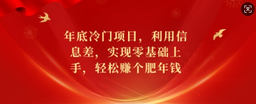 年底冷门项目，利用信息差，实现零基础上手，轻松赚个肥年钱【揭秘】-小艾项目网