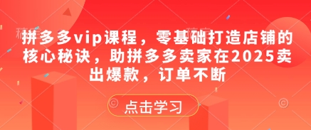 拼多多vip课程，零基础打造店铺的核心秘诀，助拼多多卖家在2025卖出爆款，订单不断-小艾项目网
