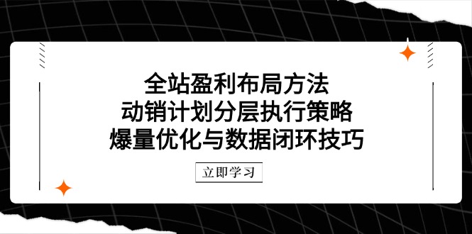 全站盈利布局方法：动销计划分层执行策略，爆量优化与数据闭环技巧-小艾项目网