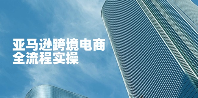 亚马逊跨境电商全流程实操，教你从零开始，掌握店铺运营与广告技巧-小艾项目网