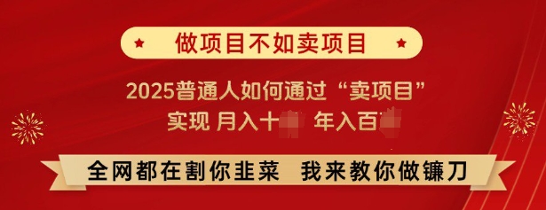 必看，做项目不如卖项目，2025普通人如何通过“卖项目”实现月入十个，年入百个-小艾项目网