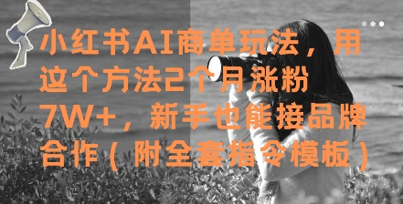 小红书AI商单玩法，用这个方法2个月涨粉7W+，新手也能接品牌合作(附全套指令模板)-小艾项目网