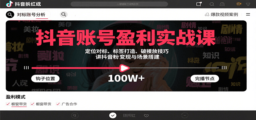 抖音账号盈利实战课，定位对标、标签打造、破播放技巧，讲涨粉变现与场景搭建-小艾项目网