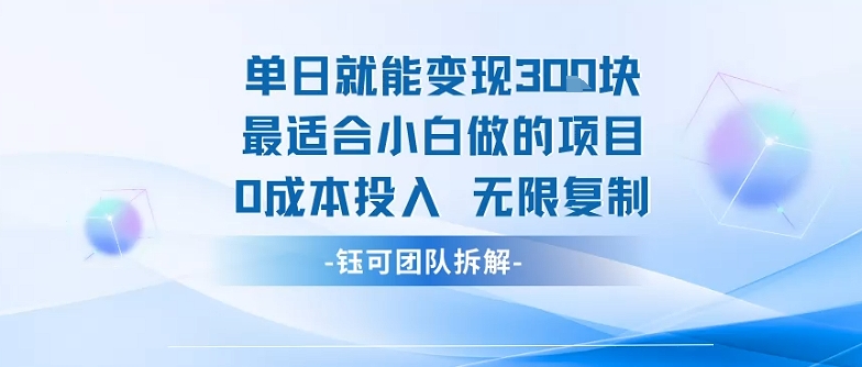 单日就能变现3张最适合小白做的项目0成本投入 无限复制-小艾项目网
