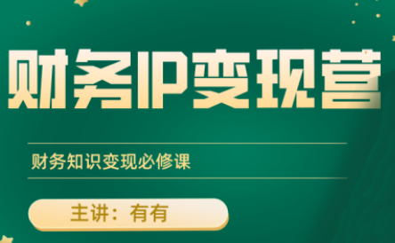 有有老师·财务IP变现营，财务知识变现必修课-小艾项目网