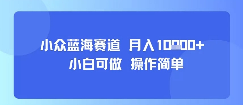 小众蓝海赛道，小白可做，操作简单，每天30分钟，月入1W+-小艾项目网