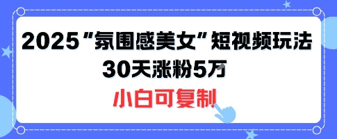不露脸也能火！2025“氛围感美女”短视频玩法，30天涨粉5W小白可复制-小艾项目网