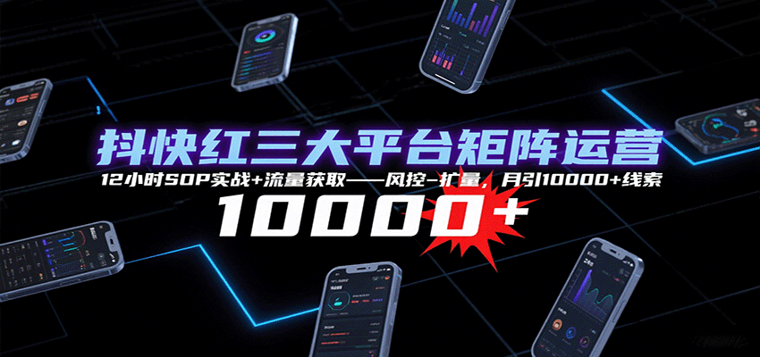 抖快红三大平台矩阵运营，12小时SOP实战+流量获取-风控-扩量，月引10000+线索-小艾项目网