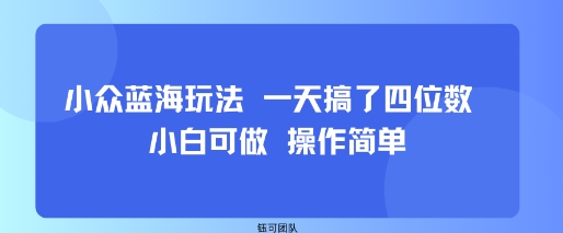 小众蓝海玩法 一天搞了四位数 小白可做 操作简单-小艾项目网