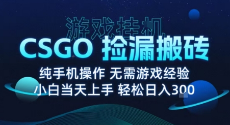 8月最新游戏搬砖，CSGO纯挂G，不需要玩游戏，实现真挂G，月入1W+【揭秘】-小艾项目网