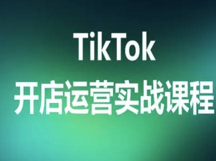 TikTok开店运营实战课程，TK跨境电商实操全流程-小艾项目网