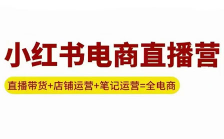 申铭老师·小红书电商直播营(更新)-小艾项目网