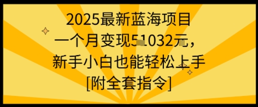 2025最新蓝海项目一个月变现1w+新手小白也能轻松上手【附全套指令】-小艾项目网