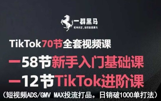 TikTok全套视频课，新手入门+进阶课，短视频ADS-GMV MAX投流打品，日销破1000单打法-小艾项目网