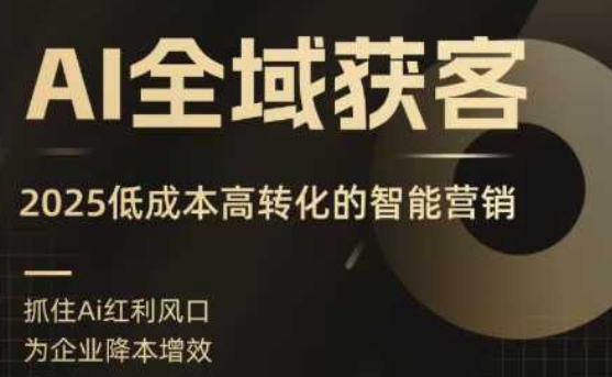 AI全域获客实训营，2025低成本高转化的智能营销，精准找客，高效营销-小艾项目网
