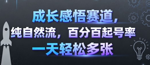 成长感悟赛道，纯自然流，百分百起号率 一天轻松多张-小艾项目网