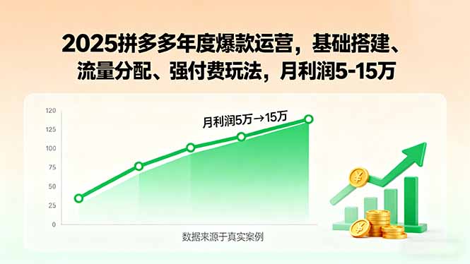 2025拼多多年度爆款运营，基础搭建、流量分配、强付费玩法，月利润5-15万-小艾项目网