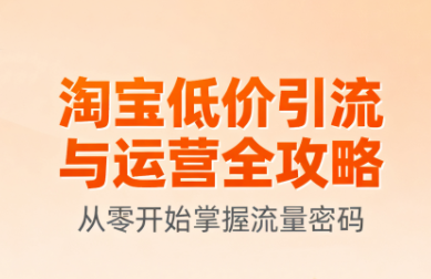 淘宝低价引流与运营全攻略(更新9月)-小艾项目网