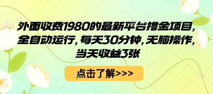 外面收费1980的最新平台撸金项目，全自动运行，每天30分钟，无脑操作，当天收益3张【揭秘】-小艾项目网