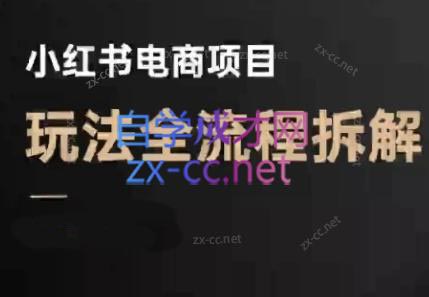 菲菲老师·小红书电商玩法(更新9月)-小艾项目网