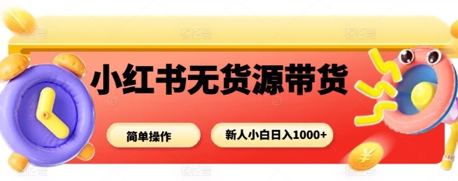 小红书无货源带货项目，简单无脑，新人小白日入多张-小艾项目网