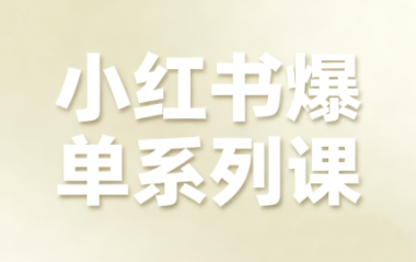 尼采老师·小红书爆单系列课-小艾项目网