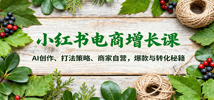 小红书电商增长课：AI创作、打法策略、商家自营，爆款与转化秘籍-小艾项目网