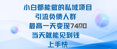 2025年小白都能做的私域项目引流负债人群最高一天变现1k+高变现难度低当天就能见到钱上手快-小艾项目网