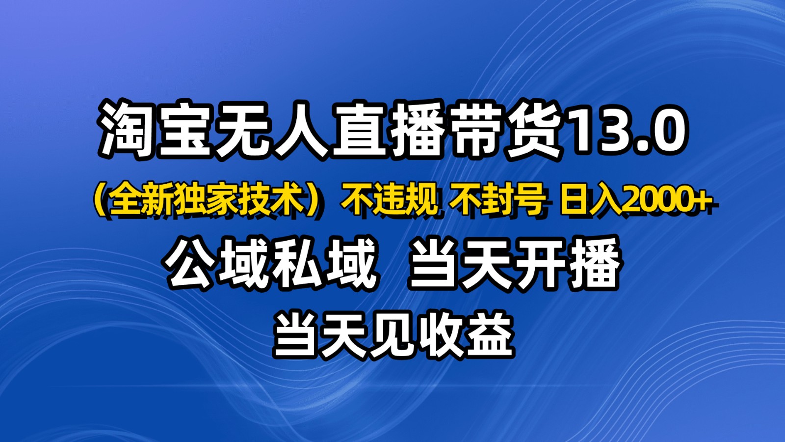 淘宝无人直播13.0，公域私域技术，不封号，不违规 布局下半年旺季赛道，日入2000+-小艾项目网
