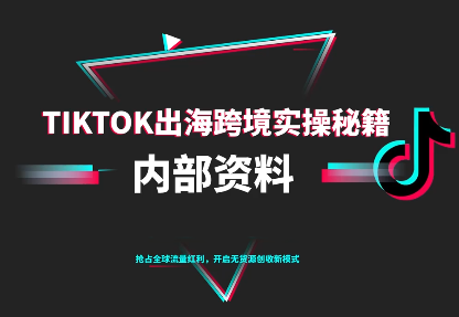 TikTok跨境电商0-1搭建运营(更新10月)-小艾项目网