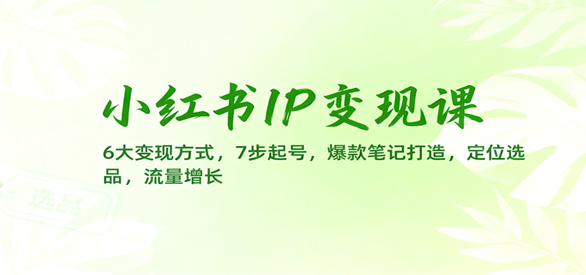 小红书IP变现课：6大变现方式，7步起号，爆款笔记打造，定位选品，流量增长-小艾项目网