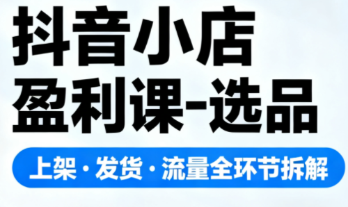 抖音小店盈利课-选品·上架·发货·流量全环节拆解-小艾项目网