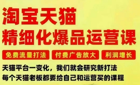 淘宝天猫精细化爆品运营课，免费流量打法-付费广告放大-利润增长-三大核心痛点，一次全部解决-小艾项目网