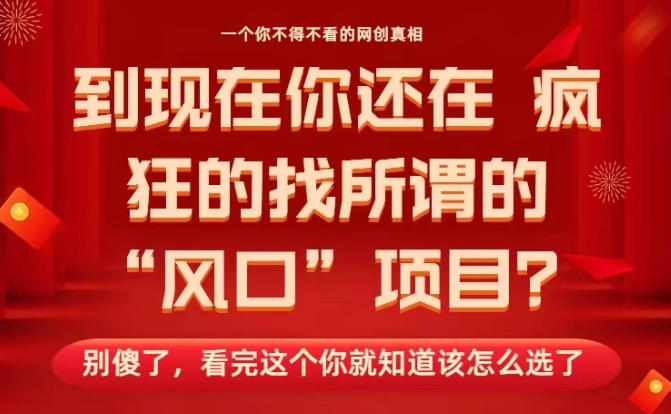 马上26年了，你还在找所谓的风口项目？别傻了，看完这个你全都懂了！【揭秘】-小艾项目网
