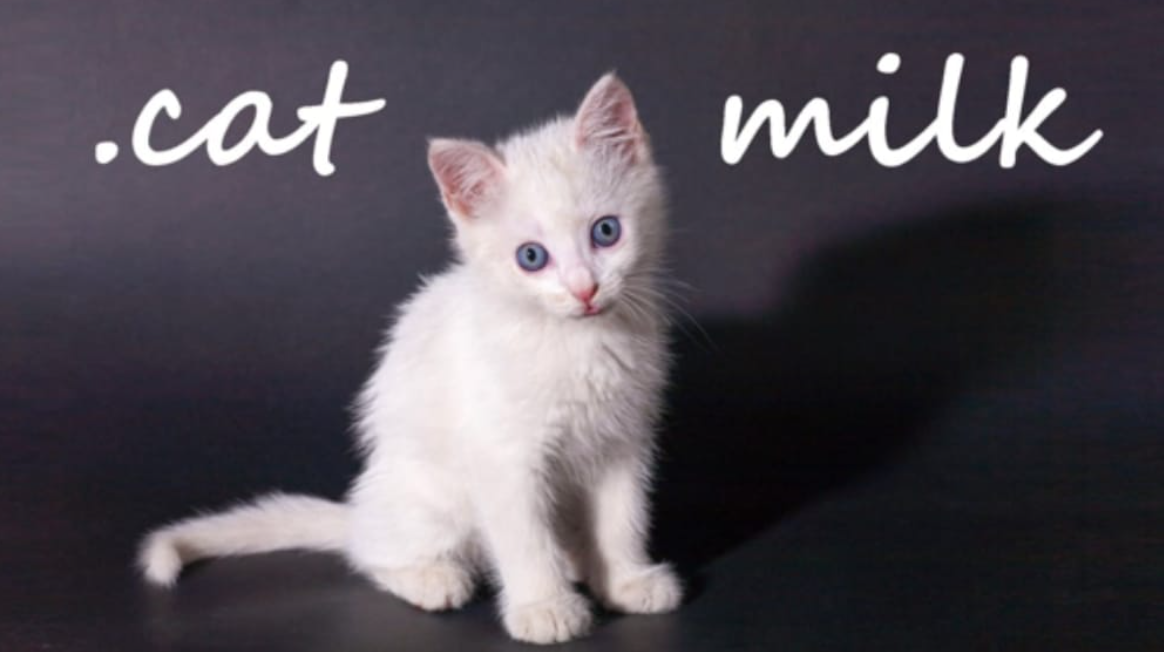 《小奶猫 .cat Milk》Switch英文版NSP下载-小艾项目网