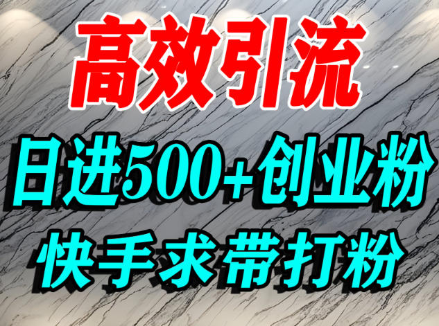 怎么打创业粉？快手求带视角精准引流创业粉，宝妈、学生群体日进500+精准流量-小艾项目网