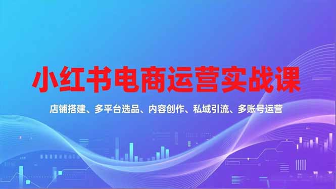 小红书电商运营实战课，店铺搭建、多平台选品、内容创作、私域引流、多账号运营等玩法-小艾项目网