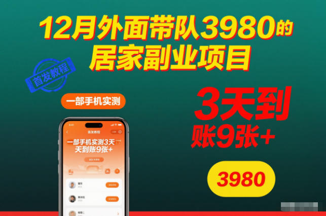 12月外面带队3980的居家副业项目，一部手机实测3天到账9张+，首发教程【揭秘】-小艾项目网