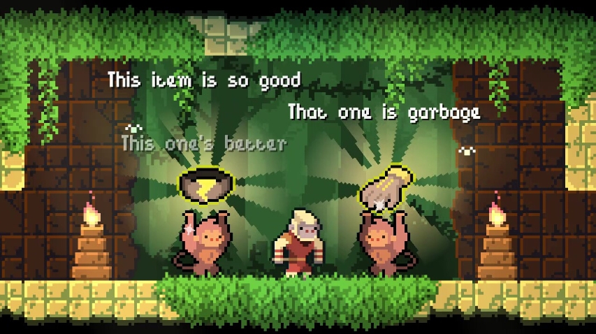 PC游戏《护林猿神 Dunjungle》中文+v1.0正式版-小艾项目网