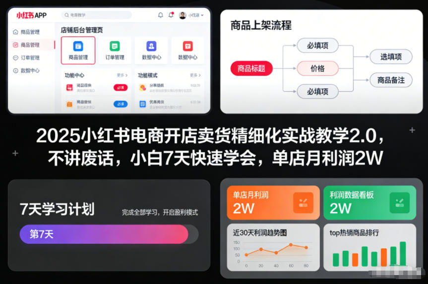 2025小红书电商开店卖货精细化实战教学2.0，不讲废话，小白7天快速学会，单店月利润2W-小艾项目网