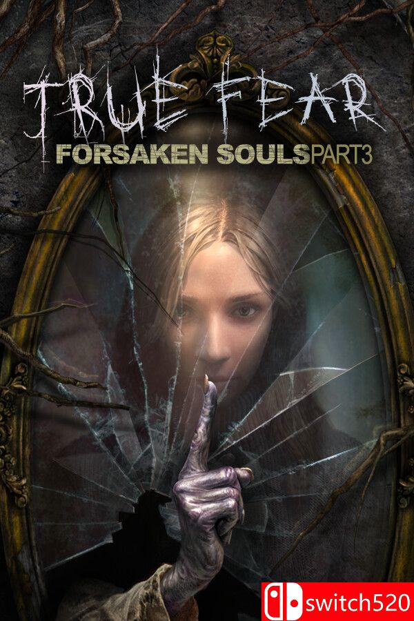 《真实恐惧：被遗弃的灵魂3（True Fear: Forsaken Souls P3）》v1.0.14 [中文/英文]-小艾项目网