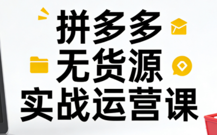 子枫老师·拼多多无货源实战运营课(更新12月)-小艾项目网