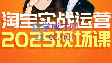 推易·淘宝全套运营现场课程(更新12月)-小艾项目网