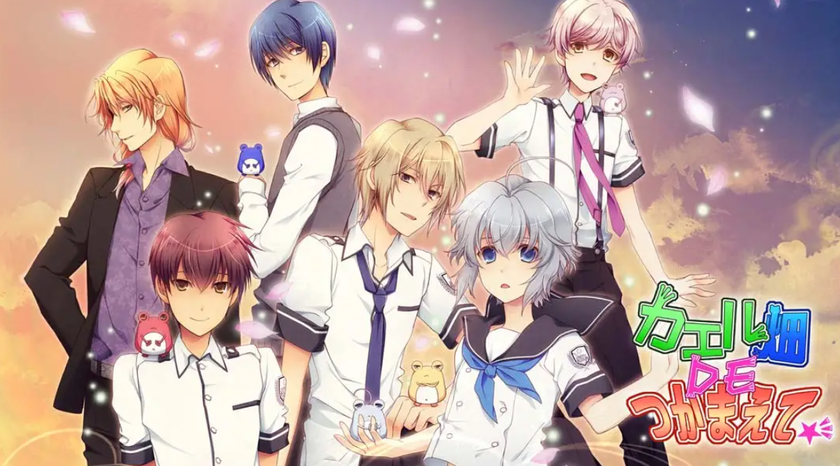 《蛙畑奇事 カエル畑DEつかまえて 乙女》Switch日文版XCI下载 – 含1.0.0补丁-小艾项目网