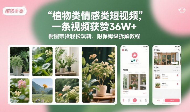 植物类情感类短视频，一条视频获赞36W+，橱窗带货轻松玩转，附保姆级拆解教程-小艾项目网