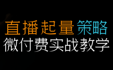 半野老师·直播带货起量与微付费必学课视频号(更新2026)-小艾项目网