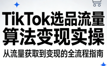 TikTok选品流量算法变现实操-小艾项目网