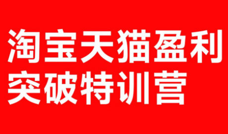 玺承·淘宝天猫盈利突破特训营(25年12月线下课)【音频+字幕】-小艾项目网